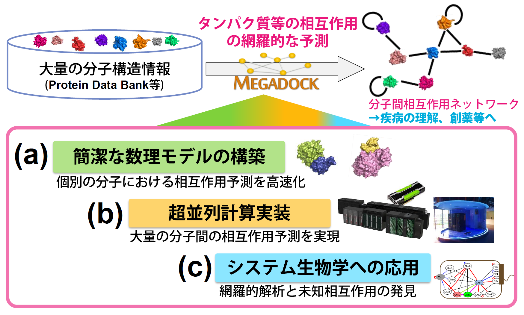 「生体内のタンパク質等の相互作用の網羅的な予測研究」概要図